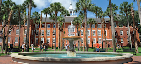 University of South Florida — main campus.
